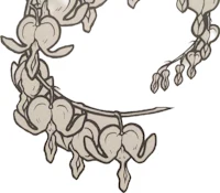a drawing of a lily of the valley