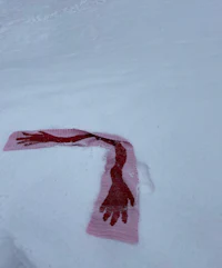 a piece of red tape is laying on the ground in the snow